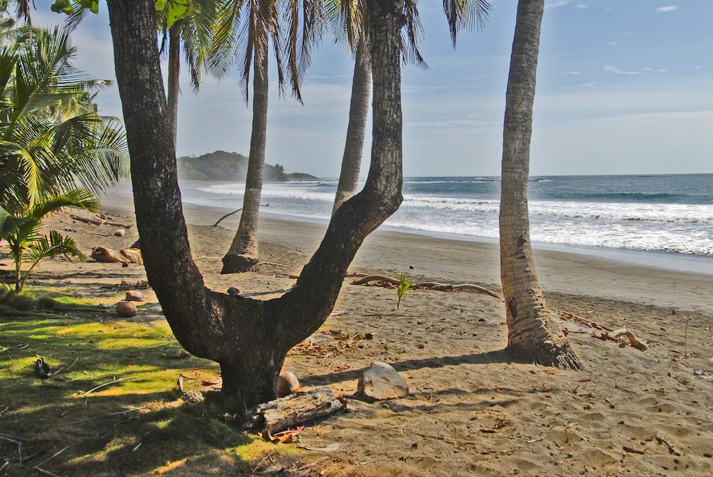 Guacamaya Lodge Paraiso  Bagian luar foto
