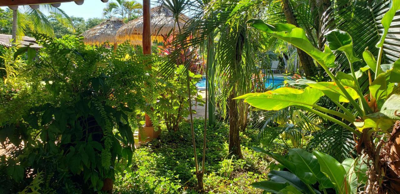 Guacamaya Lodge Paraiso  Bagian luar foto